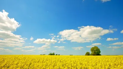 В Україні очікується температурний стрибок: після 20 липня спека може сягнути +40° - фото