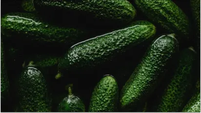 Чому не утворюється зав’язь на огірках і як це виправити - фото