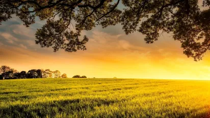 Що робили 15 липня, щоб відвернути зло й негаразди: традиції та прикмети - фото