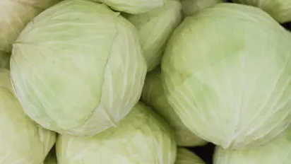 Соковиті стейки з молодої капусти з м’ясом: бюджетна ідея для ситної літньої вечері - фото