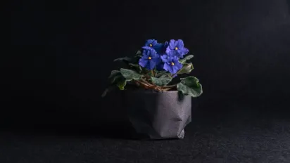 Додайте у воду одну речовину — і ваші квіти зацвітуть рясніше - фото