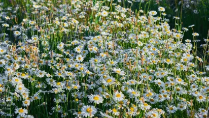 Синоптикиня попередила українців про дощі з грозами 16 липня: де литиме - фото