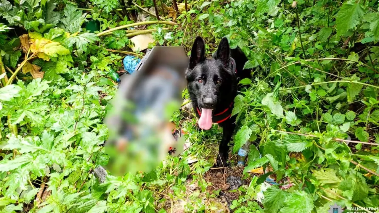 Різанина під Рівним: на сміттєзвалищі знайшли тіло чоловіка 