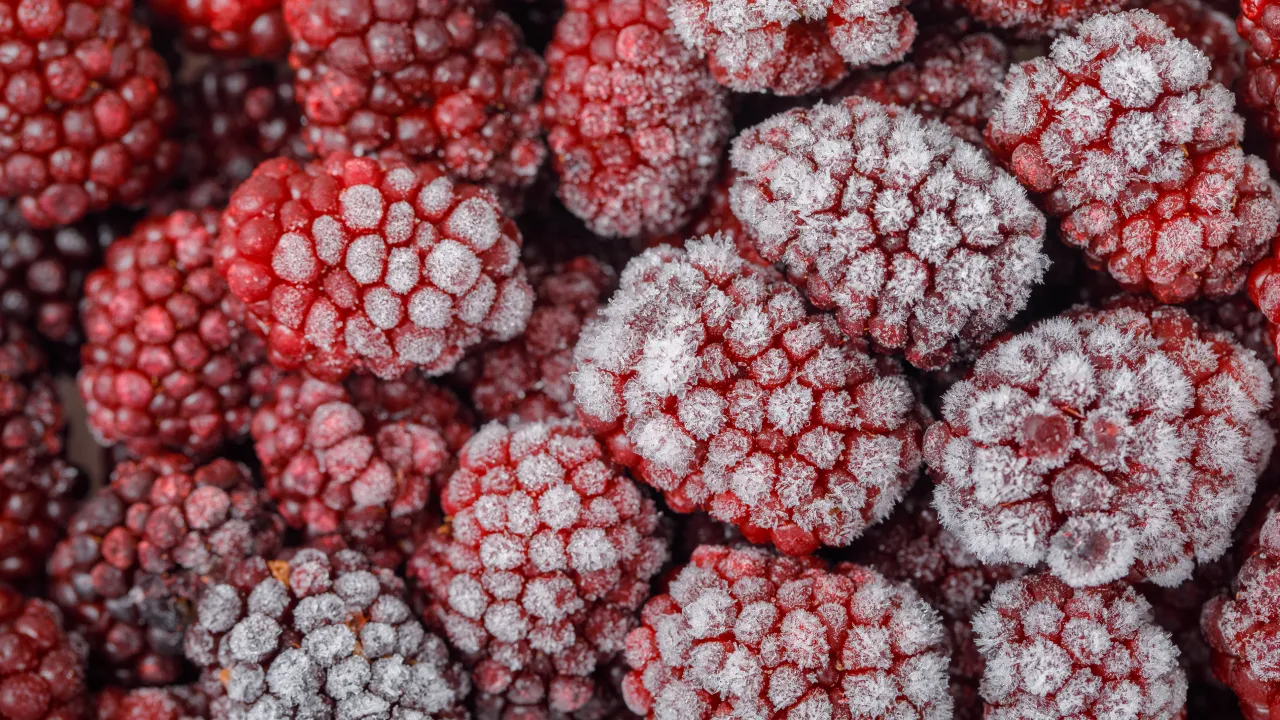 Неочікувана правда: чому заморожені ягоди можуть бути кориснішими за свіжі 
