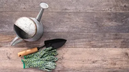 Склянка оцту проти пирію: бур’ян зникне без сліду - фото