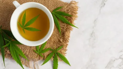 Конопля та здоров'я: наукові факти та перспективи - фото