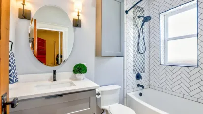 3 кімнатні рослини, які нейтралізують неприємні запахи у ванній - фото