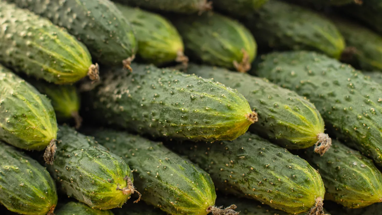 Не викидайте гіркі огірки: простий трюк, який зробить їх знову смачними за хвилину 
