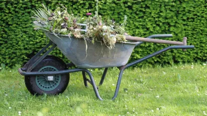 Простіше не буває: як сіль і окріп знищують бур’яни між плиткою - фото