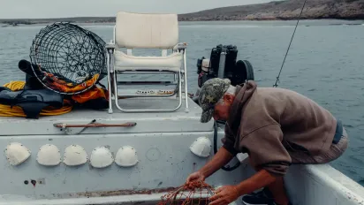 Штраф навіть без риболовлі: за що можуть покарати рибалку просто вдома - фото