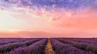 20 липня - День пророка Іллі: звичаї, прикмети та заборони свята - фото