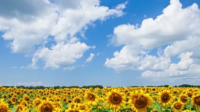 В Україну повертається спека: температура подекуди сягне +33°C - фото