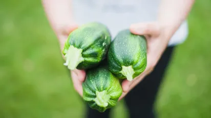 Найкращий спосіб зберегти кабачки до зими: як заморожувати правильно - фото