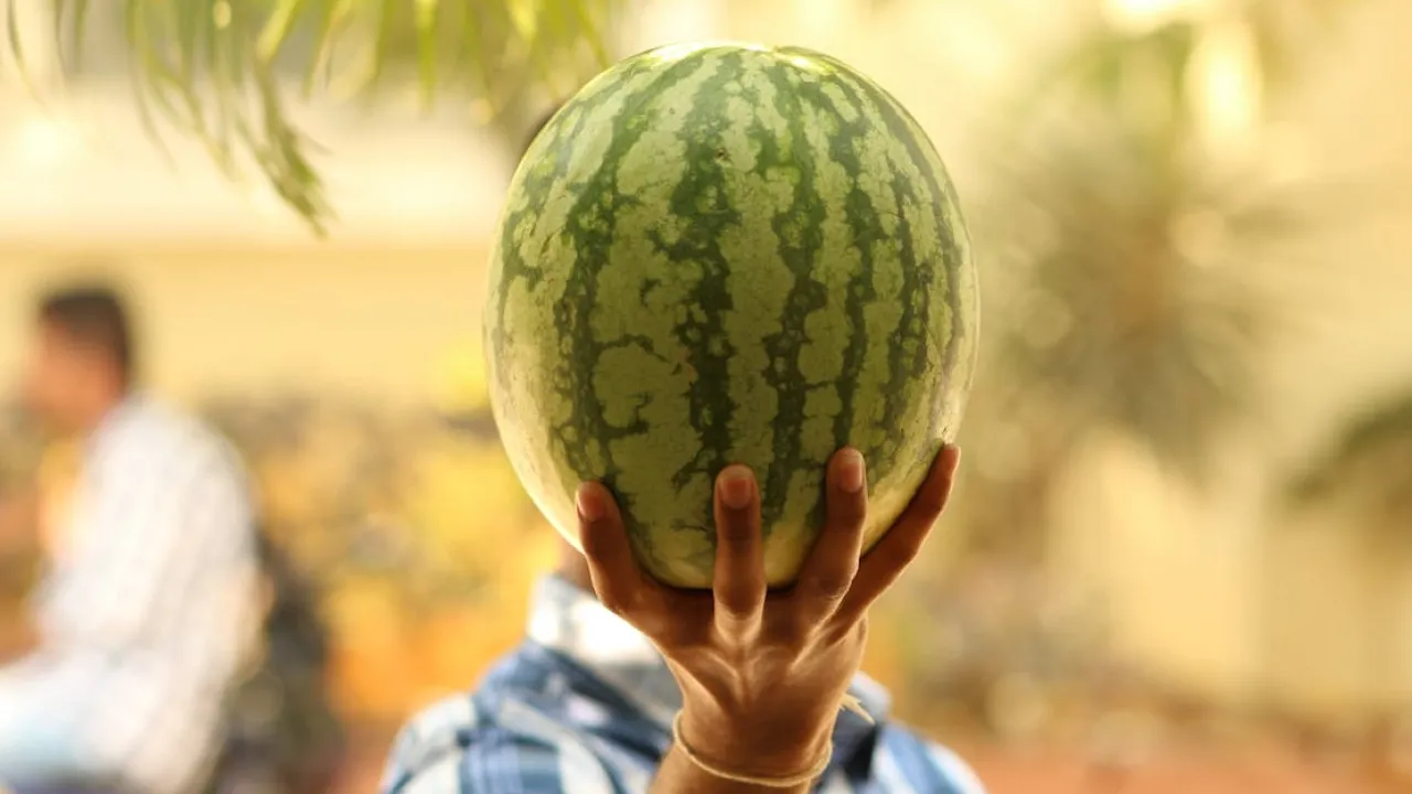Стартував сезон кавунів в Україні — експерт розповів чого чекати від цін 