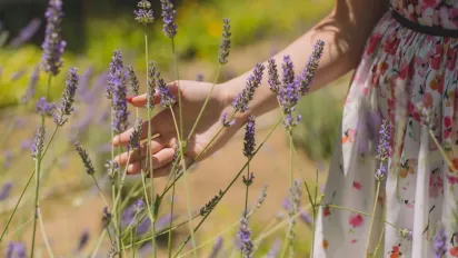Що треба зробити з грошима 24 липня, щоб притягнути достаток: народні прикмети - фото
