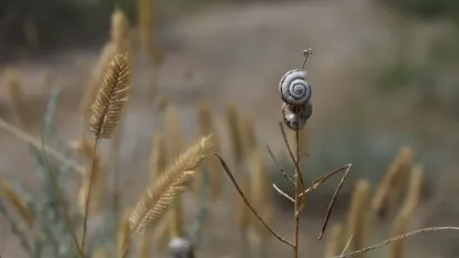 Спека та грози: якою буде погода в Україні до кінця липня - фото