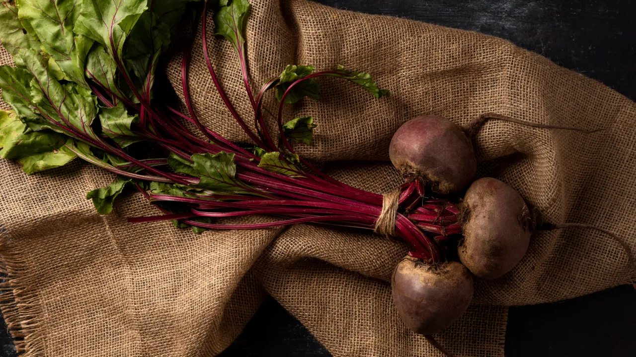 Коли викопувати буряк у 2025 році: оптимальні терміни, поради і місячний календар 