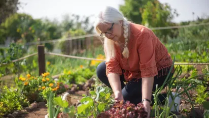 Не поспішайте зупиняти сезон: що ще можна посадити в серпні - фото