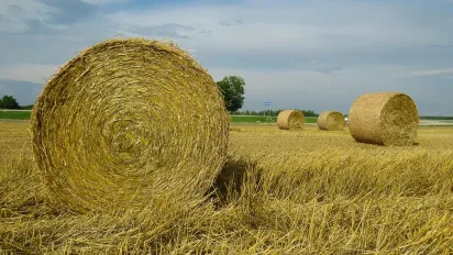 27 липня — День святого Пантелеймона: що не можна робити та як залучити удачу - фото
