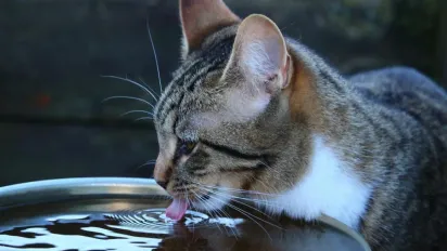 Сьогодні Україну розігріє майже до +40°: де буде найгарячіше - фото