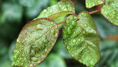 Україну накриє потужний циклон з Європи: прогноз синоптиків - фото