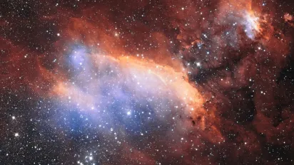 Ці знаки зодіаку викликають найбільше поваги — астрологи пояснили, чому - фото