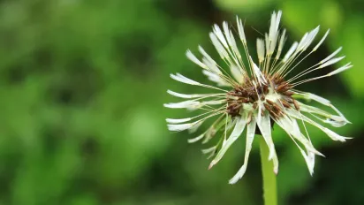 "Спека відступає не всюди:" прогноз Укргідрометцентру на тиждень - фото