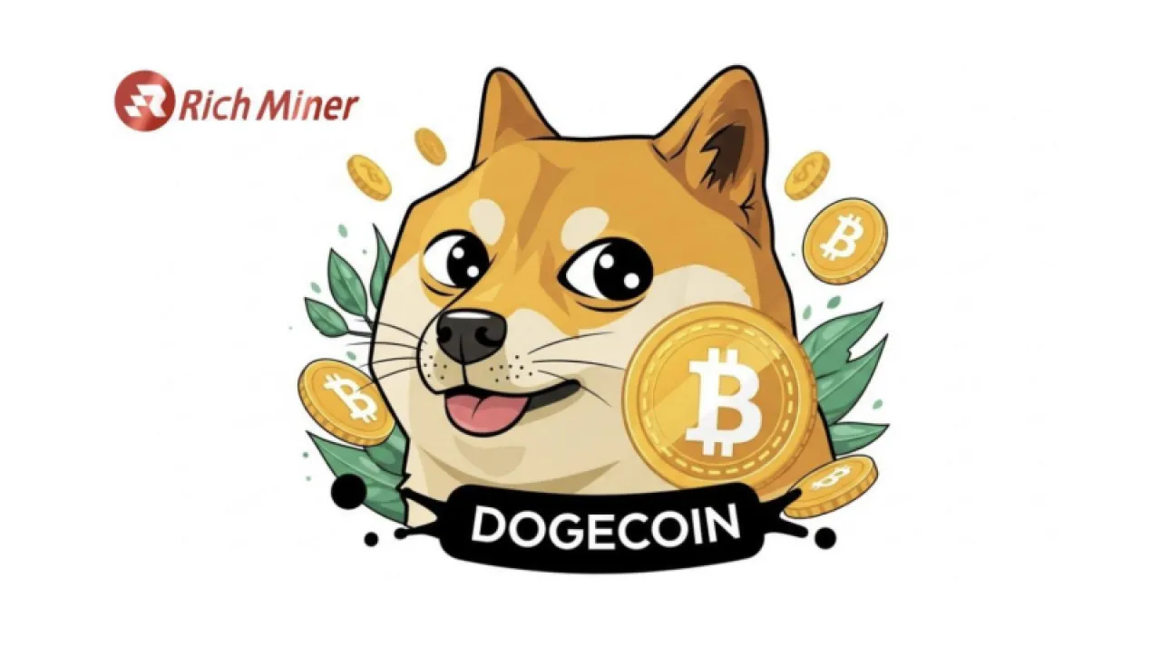 RICH Miner helps you to play DOGE cloud mining and easily receive daily income 