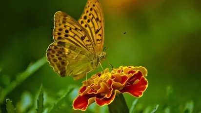 Синоптикиня назвала дати, коли спека в Україні ослабне - фото