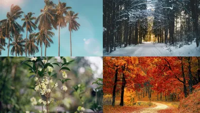 Пори року більше не ті: як клімат змінює саме поняття сезонів - фото