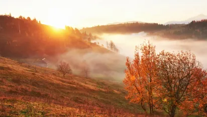 Рання чи пізня осінь: синоптикиня розповіла, чого очікувати цього року - фото