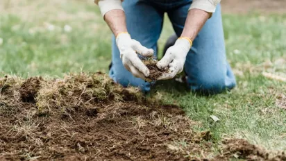 Посійте в серпні — і зберете восени: 5 культур, які ще не пізно виростити - фото