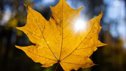 Якою буде погода у вересні: прогноз синоптика - фото