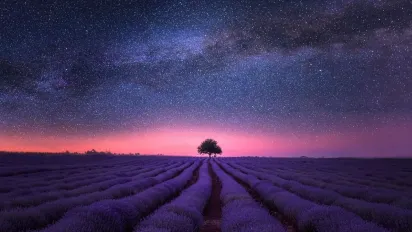 Гороскоп на 2 серпня 2025 року для всіх знаків Зодіаку - фото