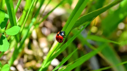 Синоптикиня попередила українців про серпневу спеку: де розжарить найбільше - фото