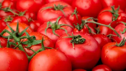 Зимою подякуєте собі: як правильно заморозити помідори - фото