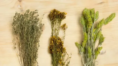 3 аптечні трави, які прочистять ваші судини краще за ліки - фото