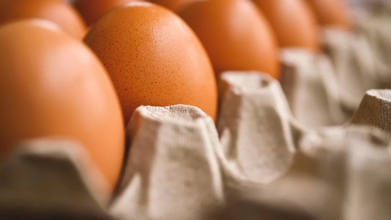 Чим замінити яйця в раціоні: дієтологиня назвала продукти з високим вмістом білка 