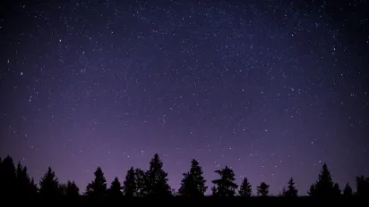 Гороскоп на 3 серпня 2025 року для всіх знаків Зодіаку - фото