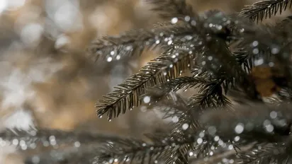 Погода в Україні на 3 серпня: спека триматиметься, але місцями дощитиме - фото