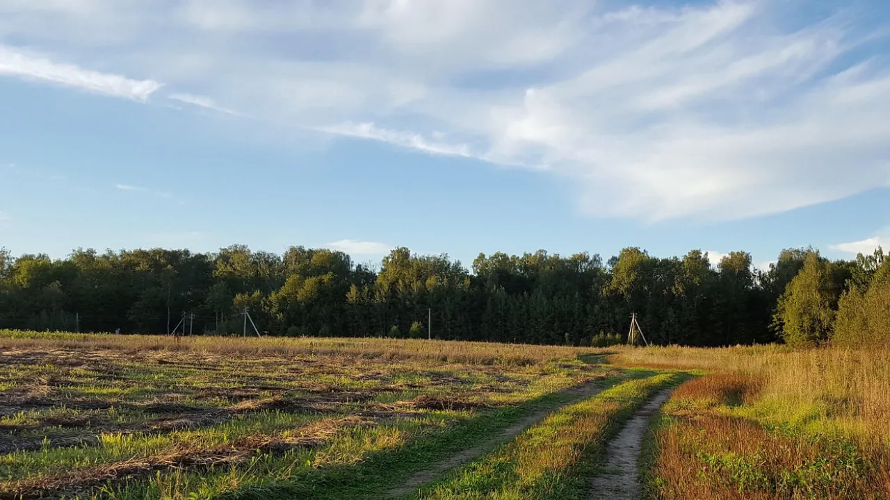 Що приносили в дім 4 серпня, щоб в родині ніхто не хворів: народні прикмети 