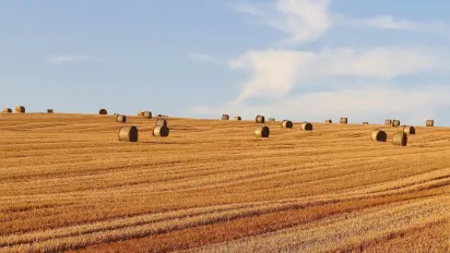 Народні традиції та прикмети 5 серпня: що потрібно зробити для добробуту, а чого краще уникати - фото