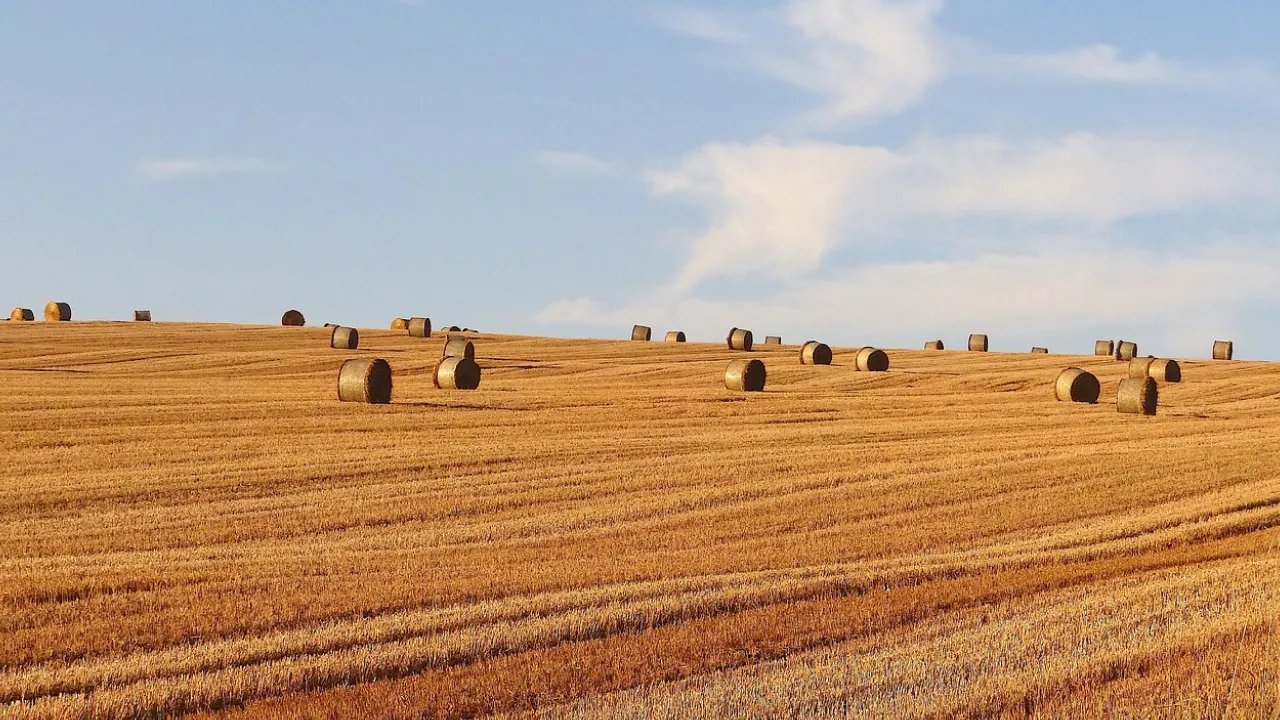 Народні традиції та прикмети 5 серпня: що потрібно зробити для добробуту, а чого краще уникати 