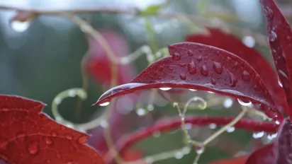 Синоптикиня назвала точну дату, коли дощів в Україні побільшає - фото