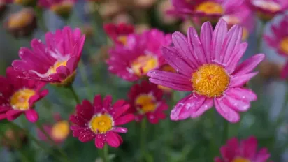 В Україну йде атмосферний фронт: якої погоди чекати цього тижня - фото