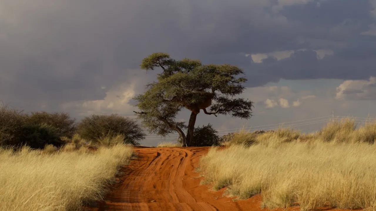 Антициклон вплине на погоду в Україні: Ігор Кібальчич пояснив, чого очікувати 