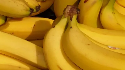 Ці 11 продуктів справді допоможуть скинути жир на животі  - фото