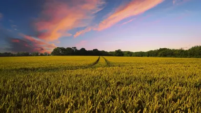 До України йде спека з півдня Європи: якою буде погода на вихідних - фото