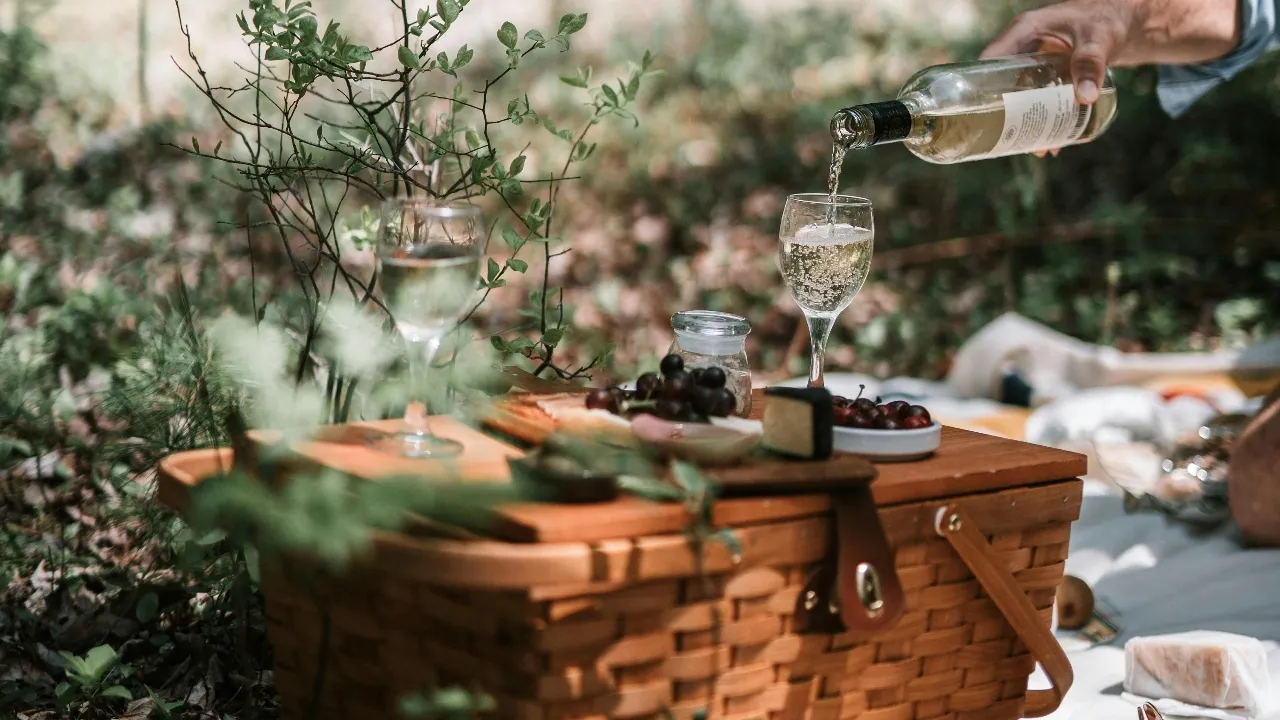 Як безпечно зберігати продукти влітку без холодильника, якщо вирушили у подорож 