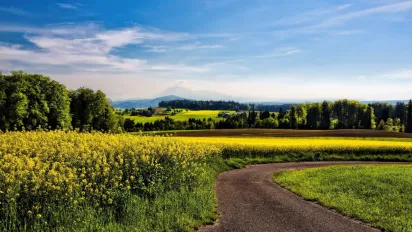 Чому 11 серпня не можна пускати в дім незнайомців і головні заборони дня - фото